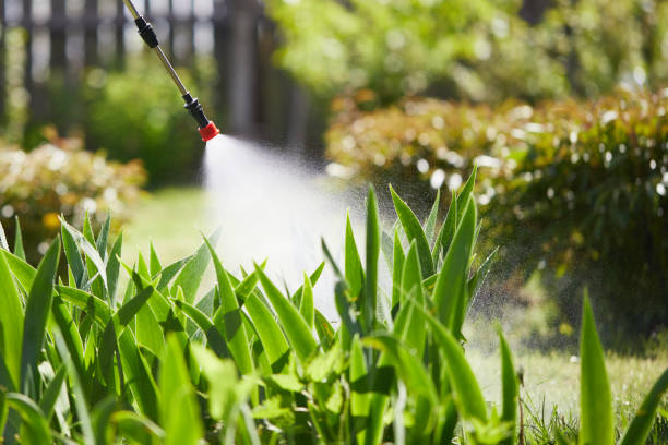 24/7 Emergency Mosquito Control experts in Shadeland, IN